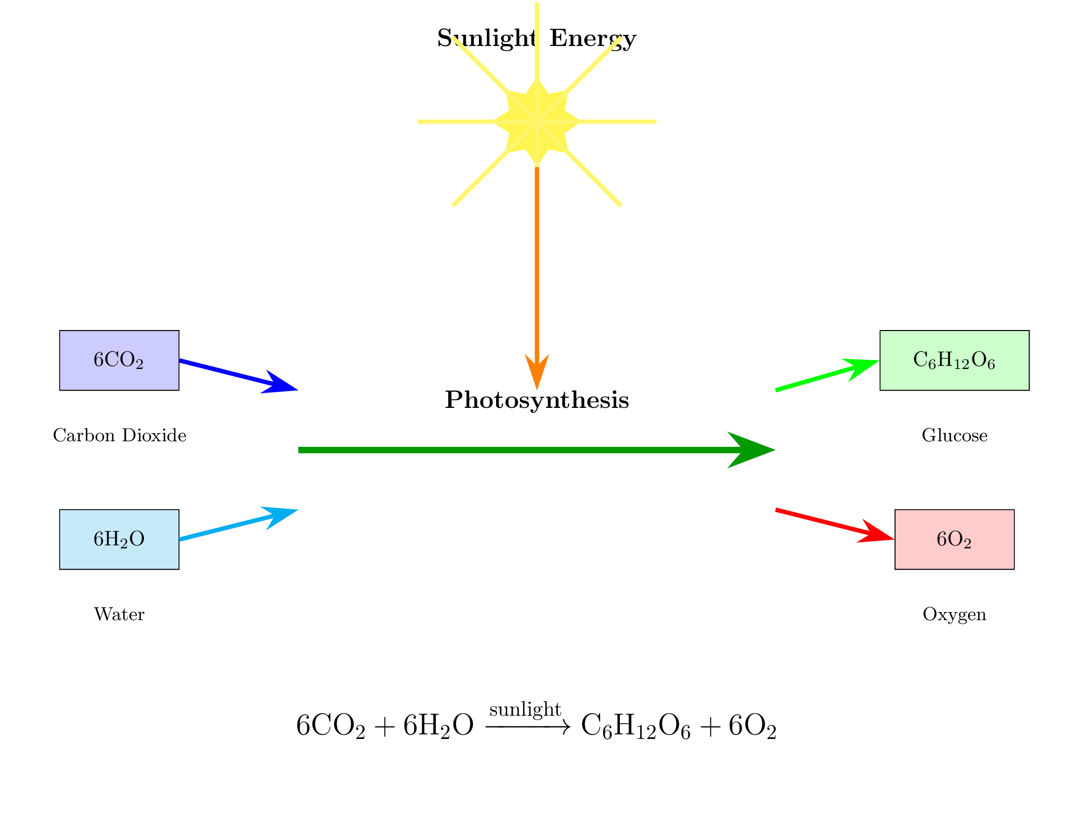 Click to enlarge Image_photosynthesis-equation_0.png