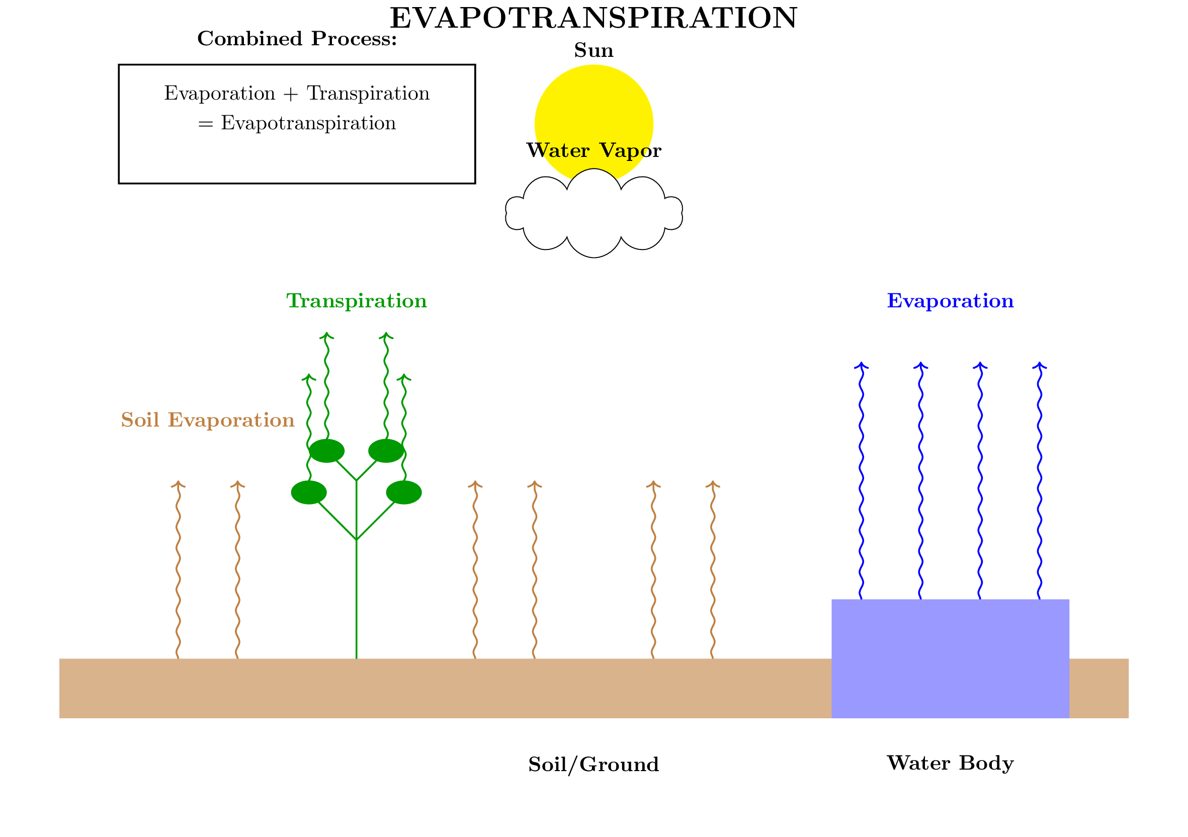 Image_evapotranspiration_0.png